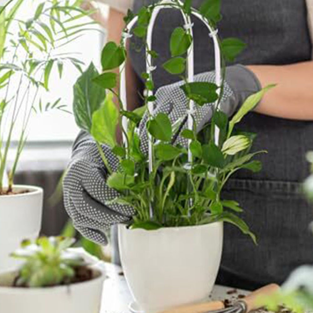 2 قطعة رف النبات الاكريليك على - مراجعة Plant Parenting وسعره