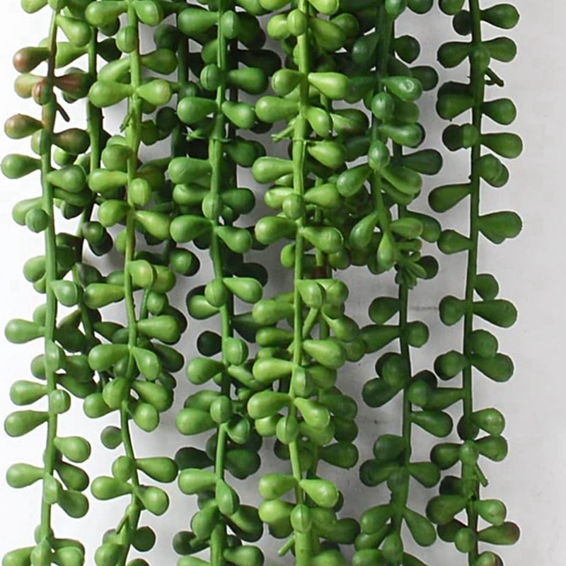 نباتات بلاستيكية اصطناعية، نبا - مراجعة String Of Pearls Plant وسعره