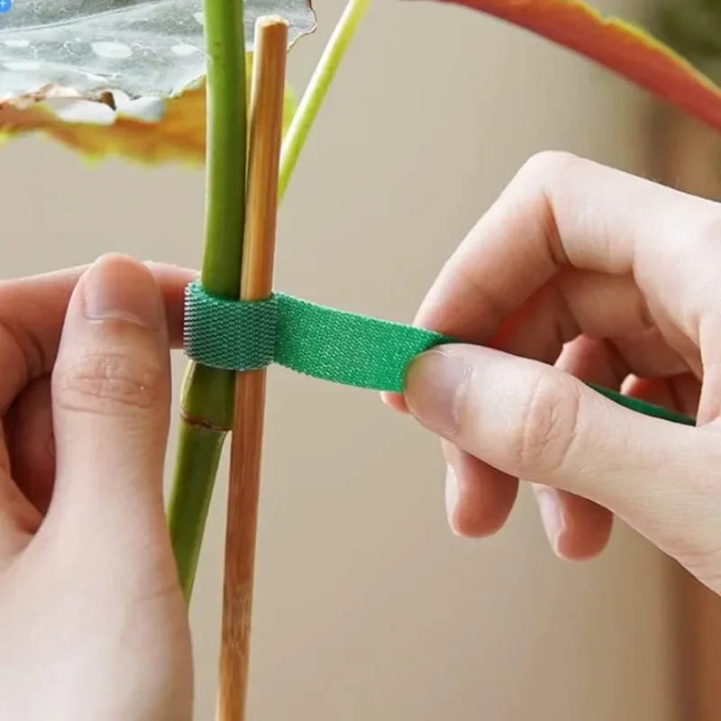 شريط نايلون قابل لإعادة الاستخ - مراجعة Plant Parenting وسعره
