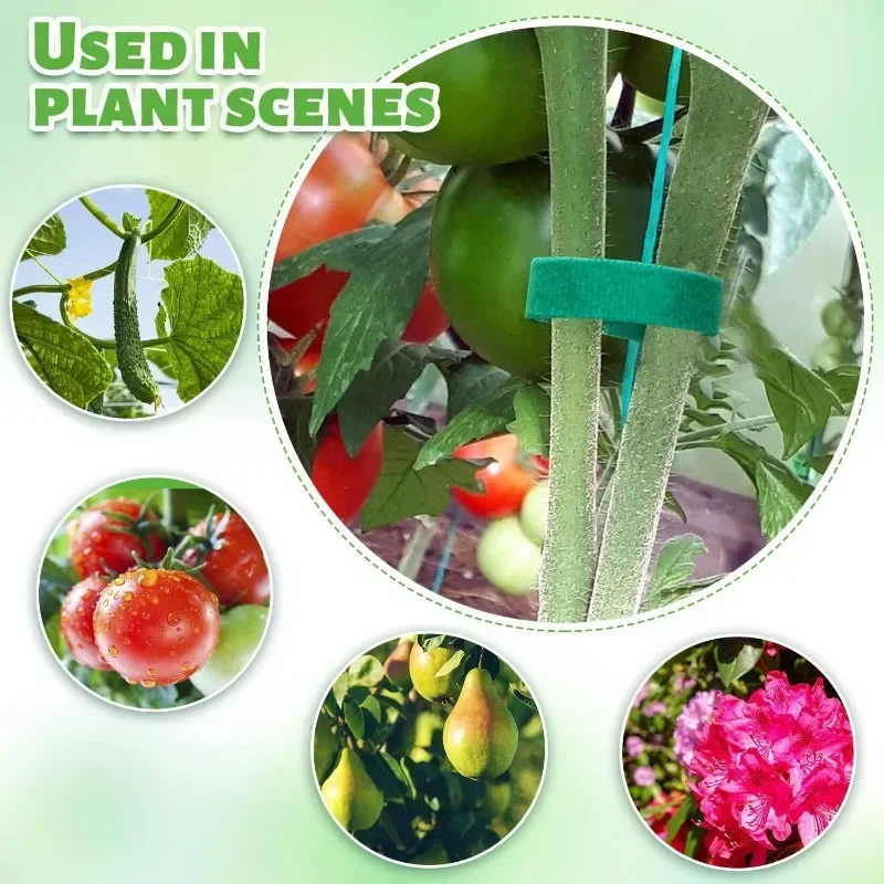 شريط نايلون قابل لإعادة الاستخ - مراجعة Plant Parenting وسعره