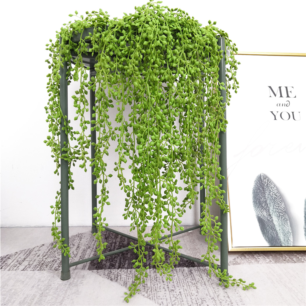 نبات اصطناعي فاينز جدار معلق أ - مراجعة String Of Pearls Plant وسعره