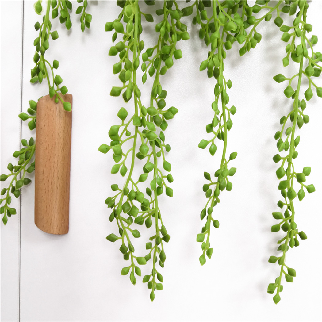 نبات اصطناعي فاينز جدار معلق أ - مراجعة String Of Pearls Plant وسعره
