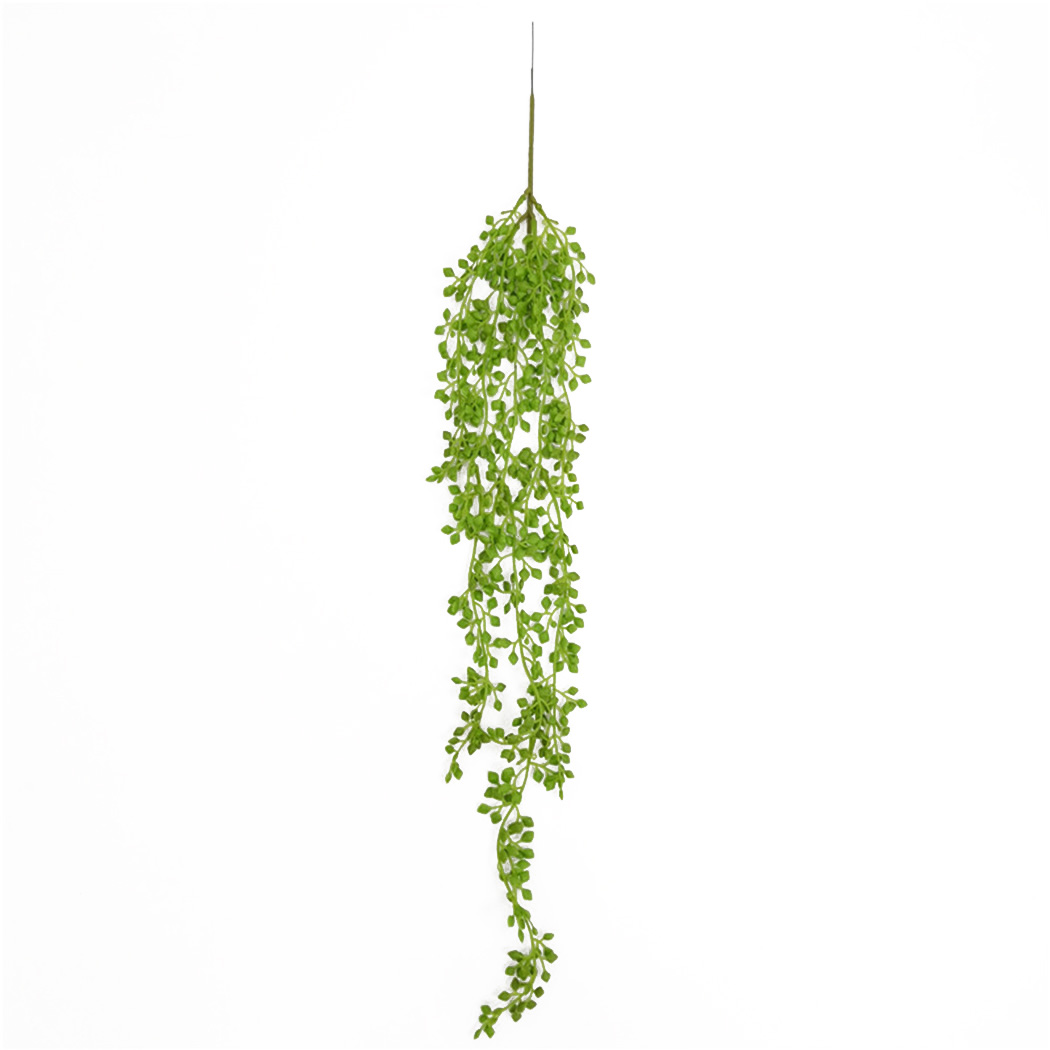 نبات اصطناعي فاينز جدار معلق أ - مراجعة String Of Pearls Plant وسعره
