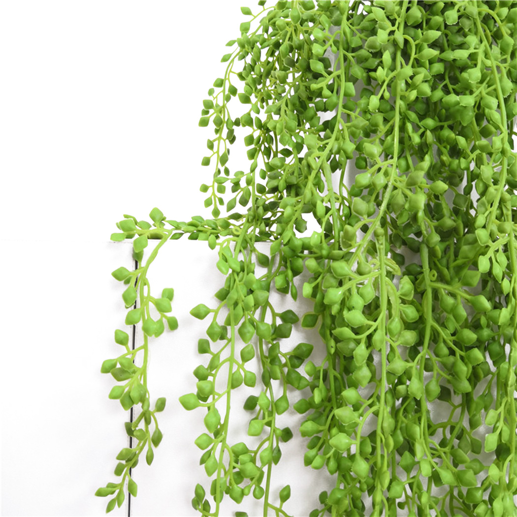 نبات اصطناعي فاينز جدار معلق أ - مراجعة String Of Pearls Plant وسعره